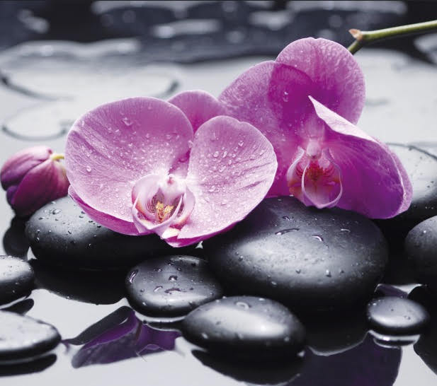 Imagen de Imane.bienestar.