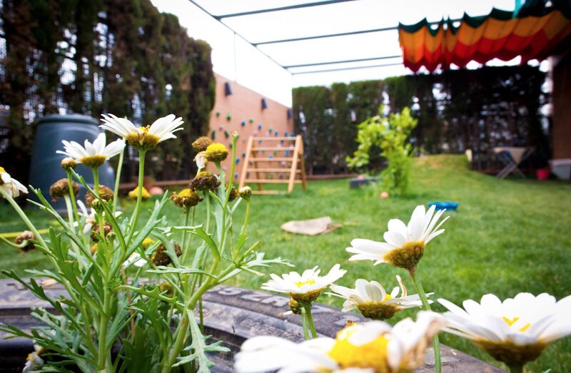 Imagen de Educomontessori