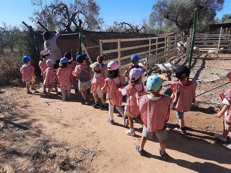 Imagen de negocio en Educación en Mairena del Aljarafe