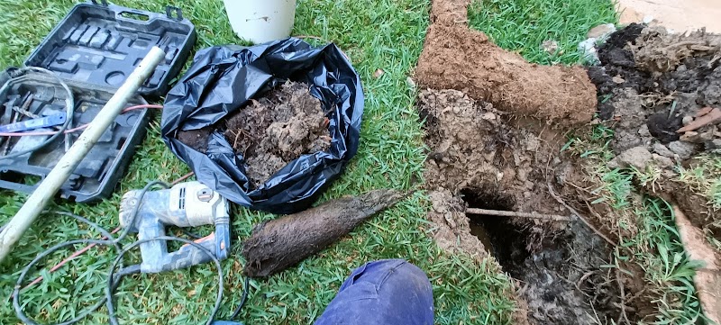 Imagen de Desokuplag Prevención y Control de Plagas