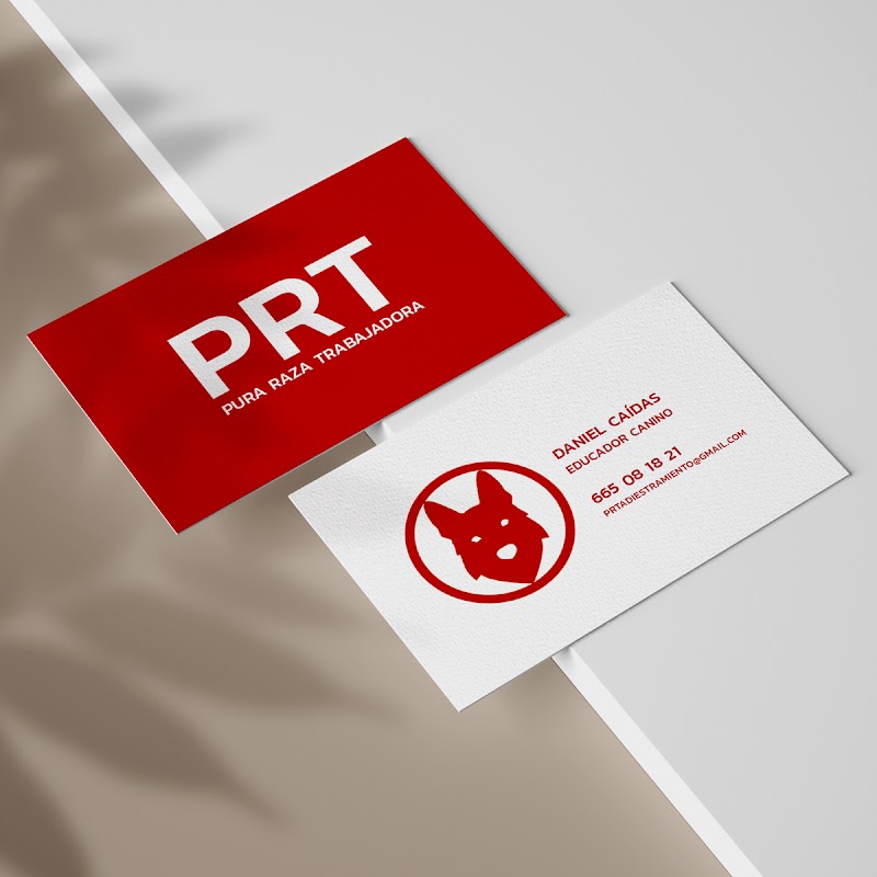 Imagen de Diseño de Páginas Web, Logos y Marketing Digital en Sevilla