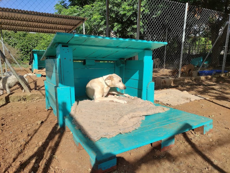 Imagen de negocio en Guardería para mascotas en Provincia de Sevilla