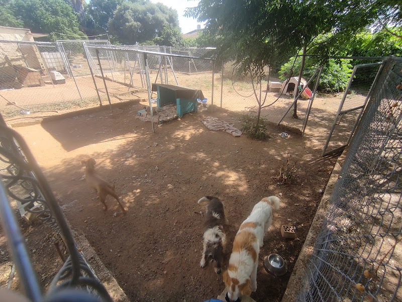 Imagen de negocio en Guardería para mascotas en Provincia de Sevilla
