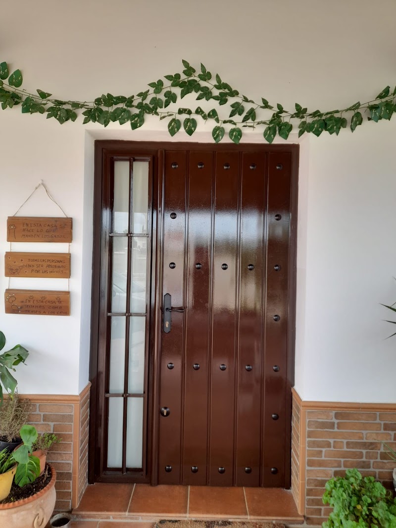 Imagen de negocio en Instalaciones en Olivares