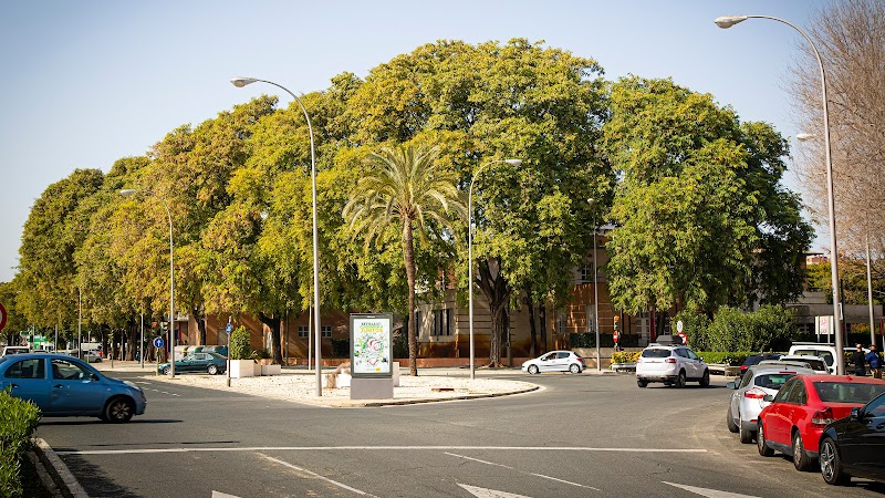 Imagen de Pumm Agencia de Marketing