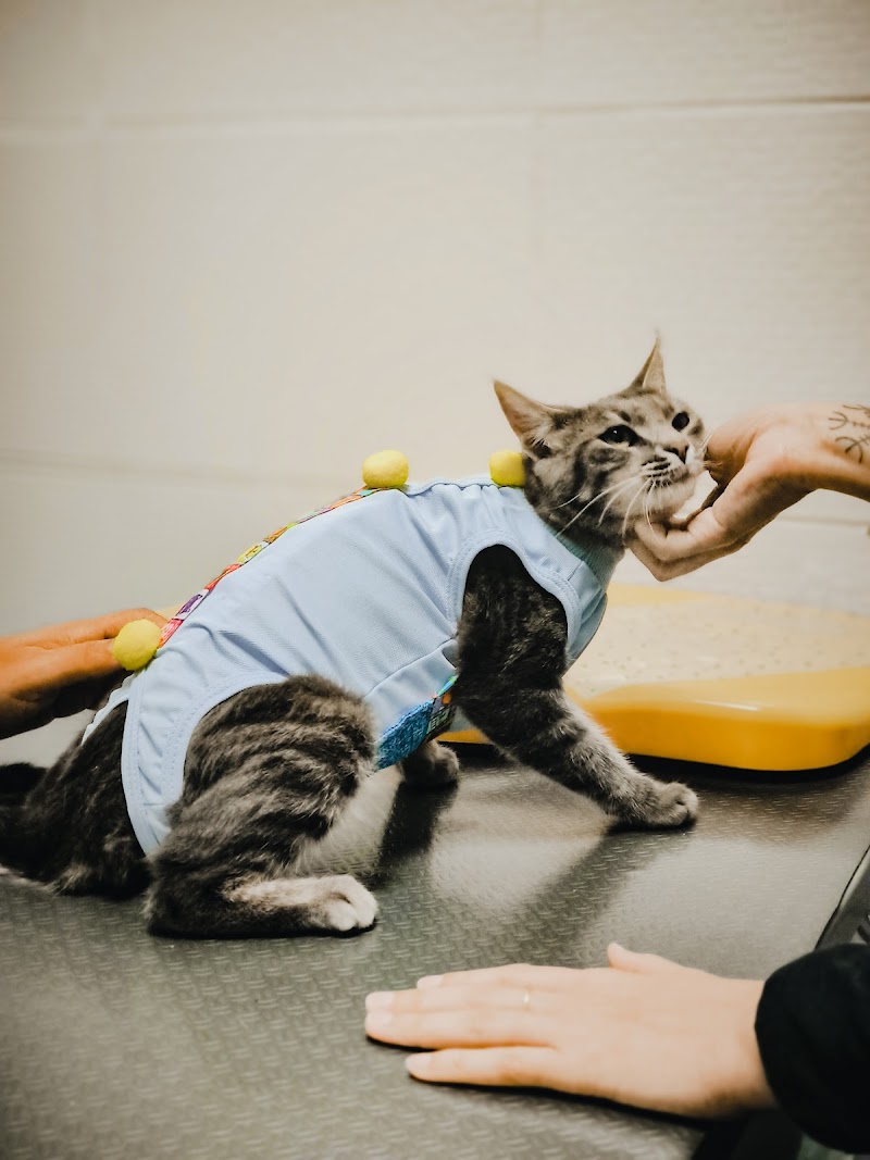 Imagen de Clínica Veterinaria Huellas