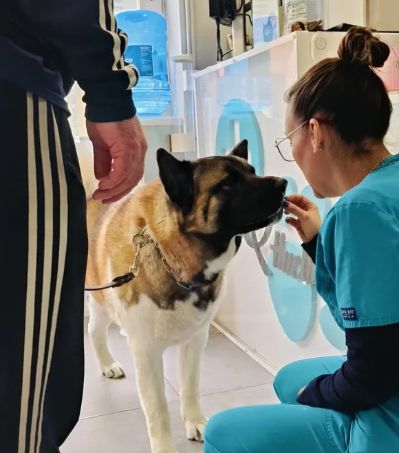 Imagen de Clínica Veterinaria Huellas