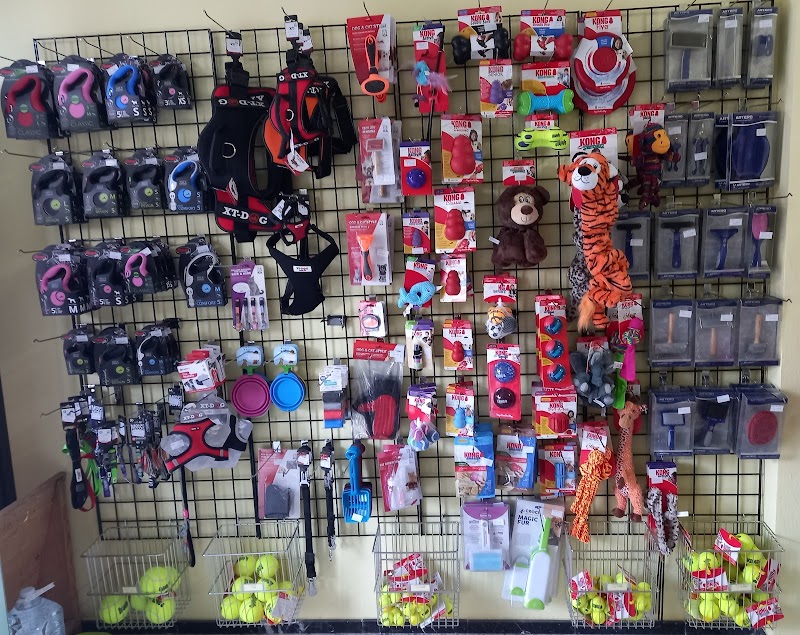 Imagen de Mimí Mascotas Playa de Arinaga