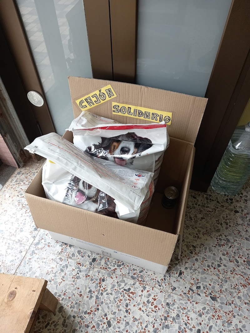 Imagen de Mimí Mascotas Playa de Arinaga