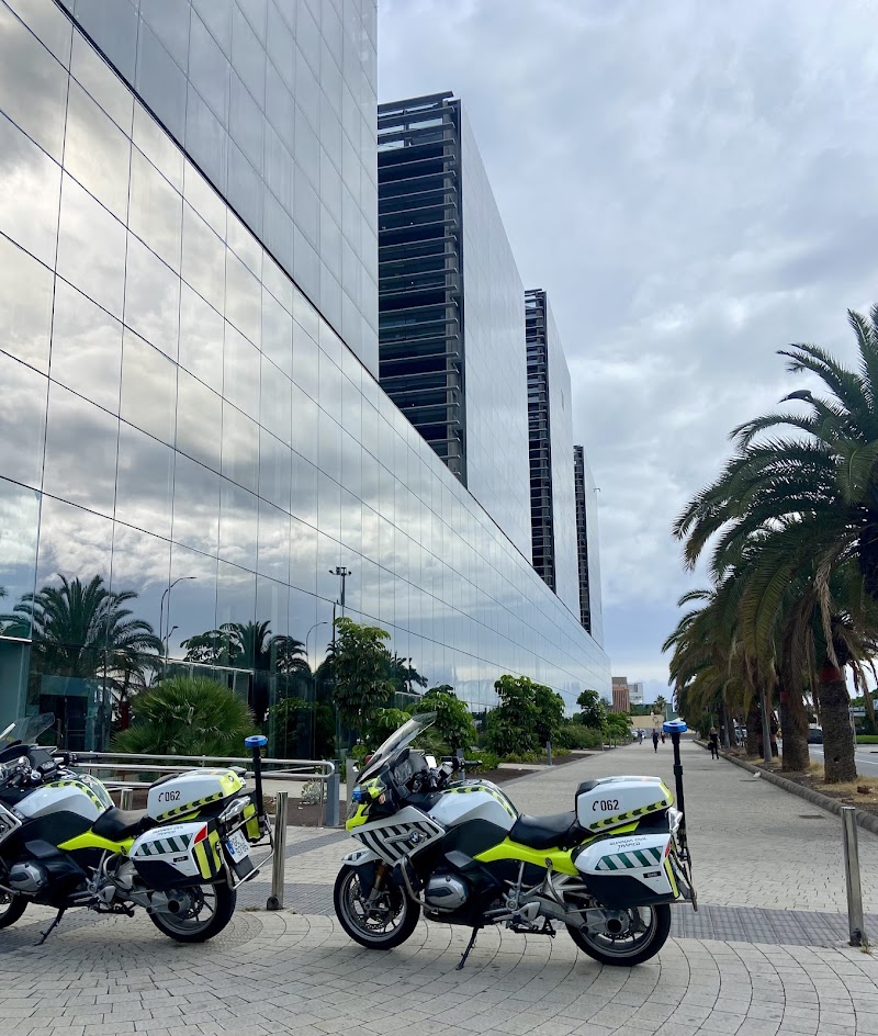 Imagen de Traductorcanarias