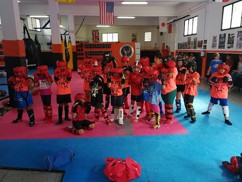 Imagen de Club Kickboxing Coleta