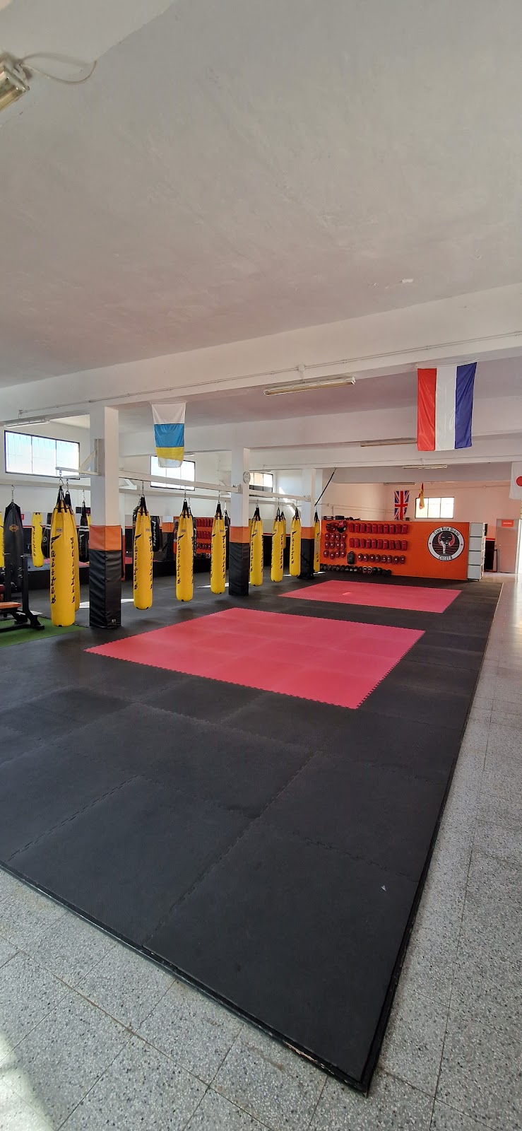 Imagen de Club Kickboxing Coleta