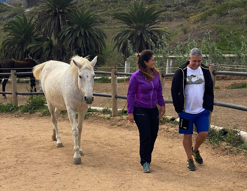 Imagen de Tierra de Caballos