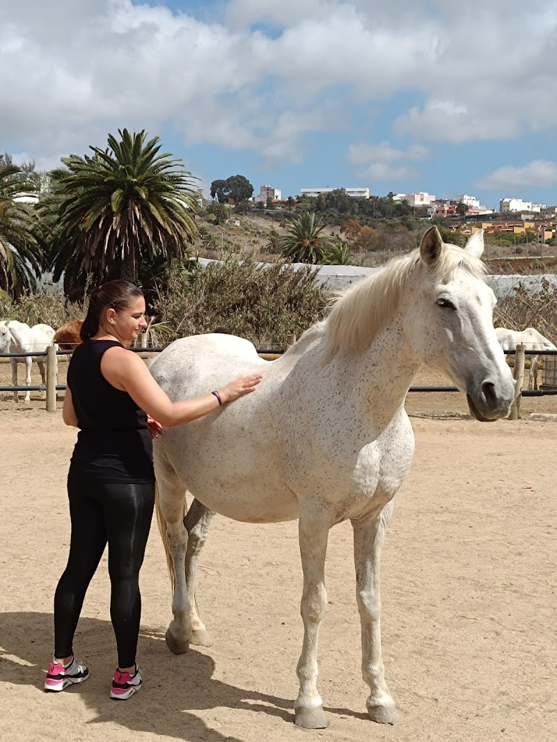 Imagen de Tierra de Caballos