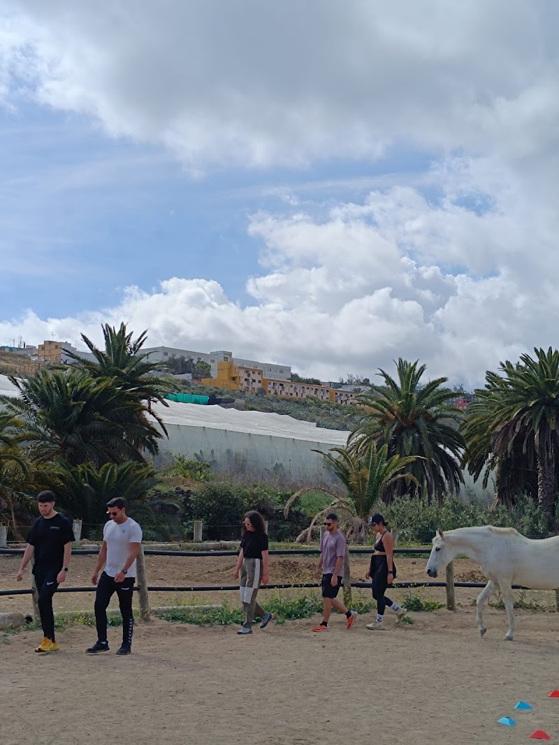 Imagen de Tierra de Caballos