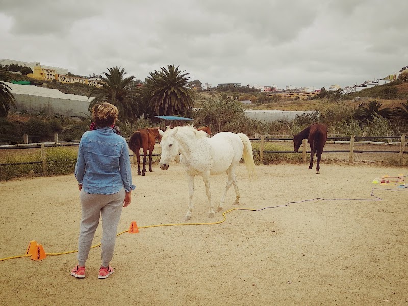 Imagen de Tierra de Caballos
