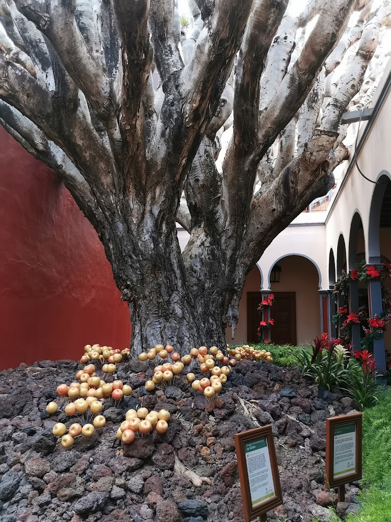 Imagen representativa de la localización