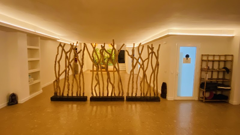 Imagen de Element Yoga School