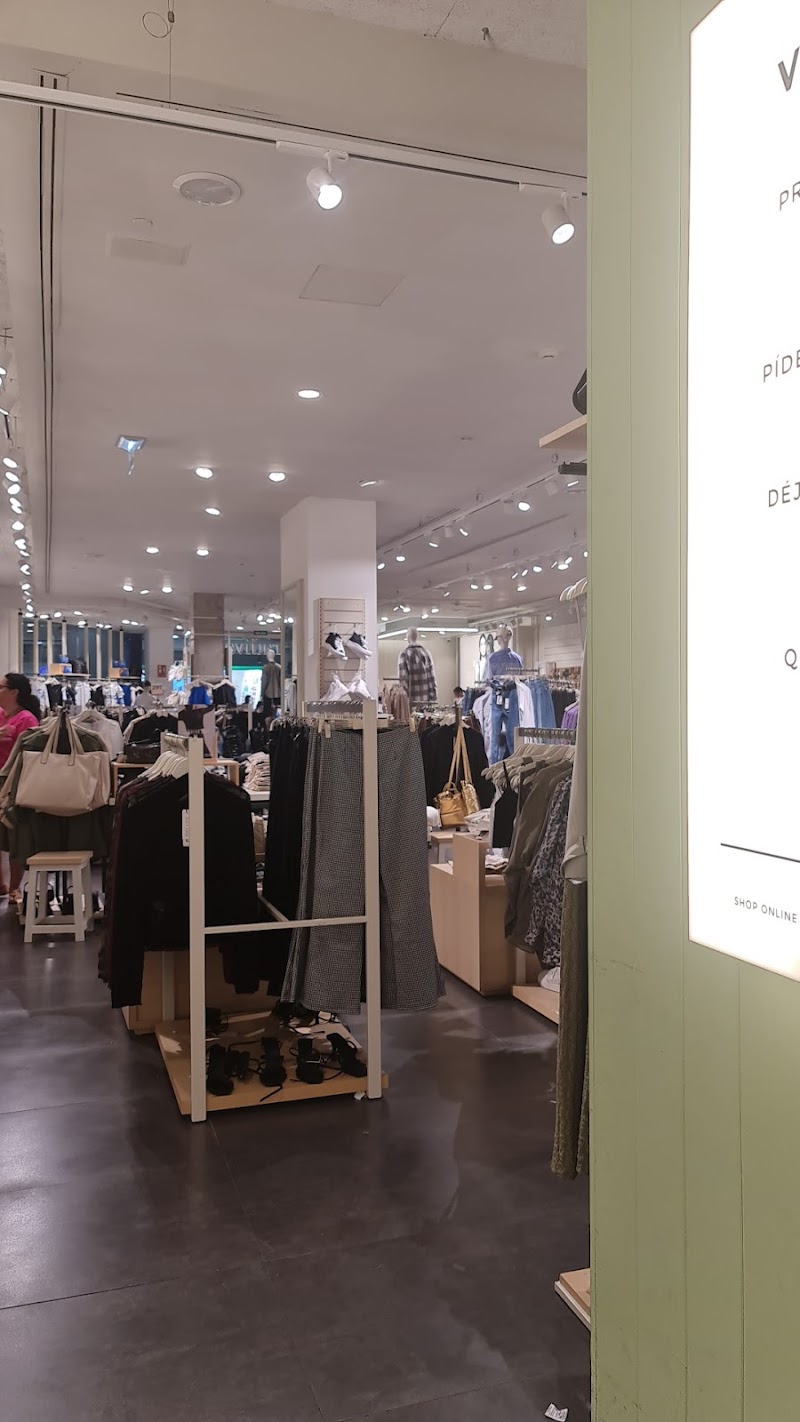 Imagen de Stradivarius