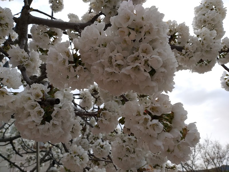 Imagen representativa de la localización