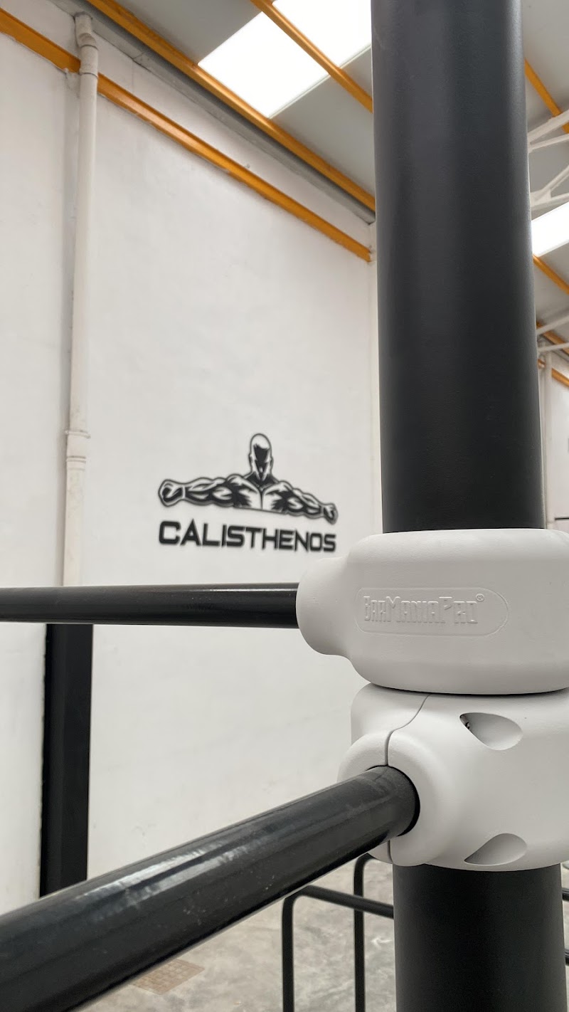 Imagen de Calisthenos