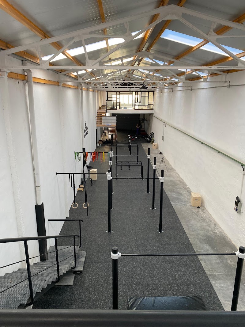 Imagen de Calisthenos