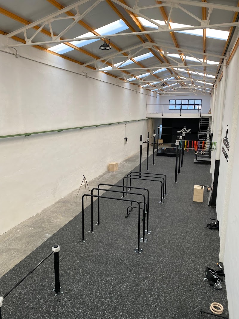 Imagen de Calisthenos