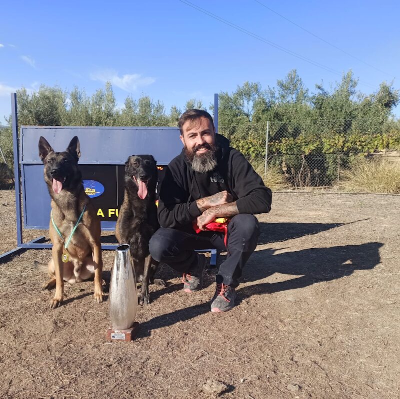 Imagen de Adiestrador Canino Alicante-wild Wild Dog