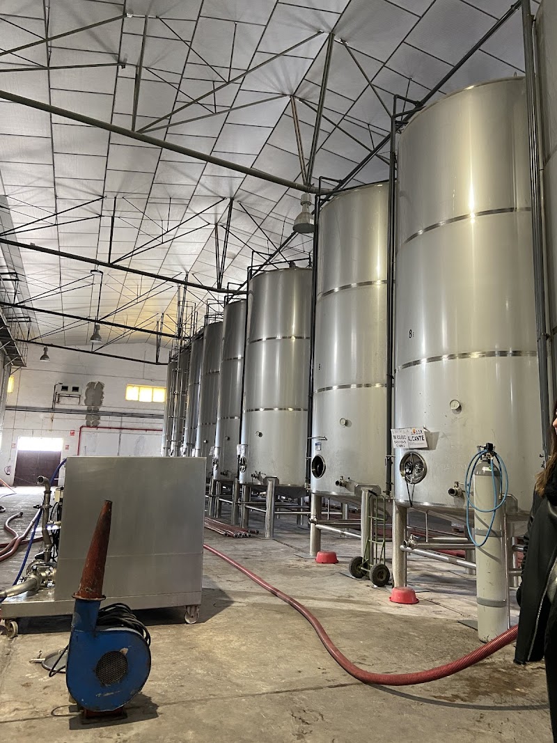 Imagen de Bodega las Virtudes