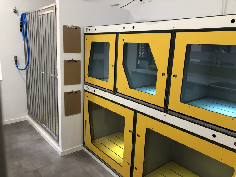 Sala hospitalización canina