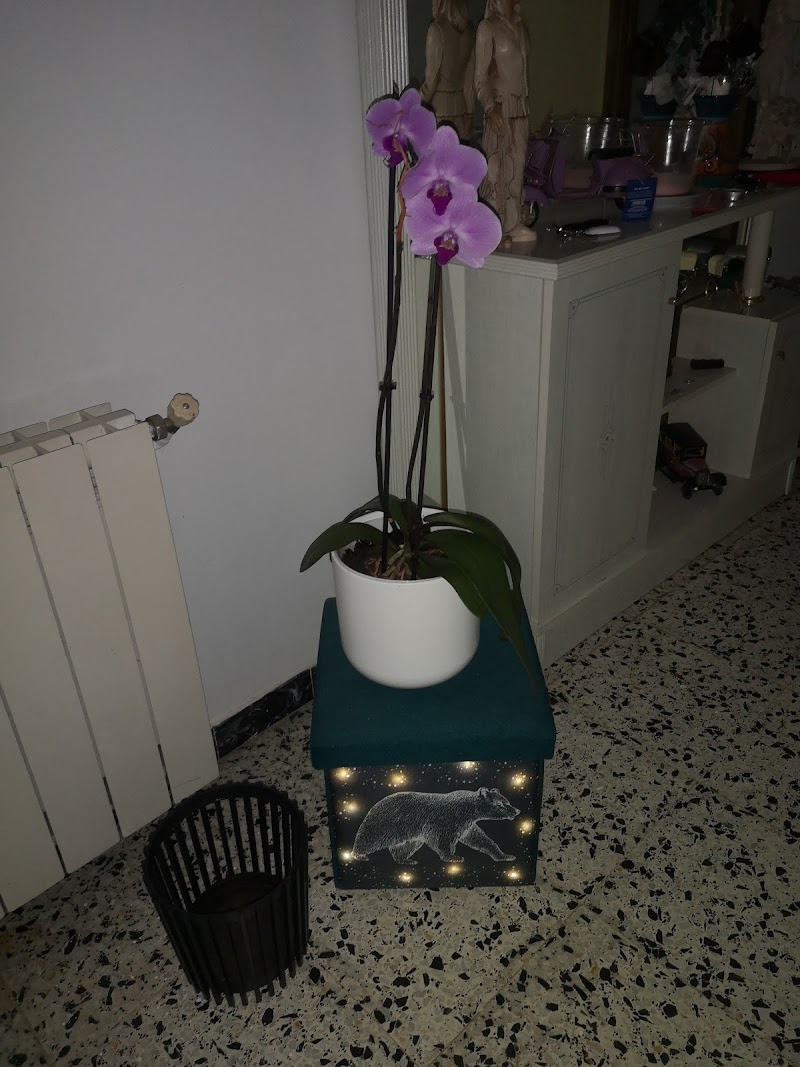 Imagen de Cucú Marketing & Comunicación Empresarial