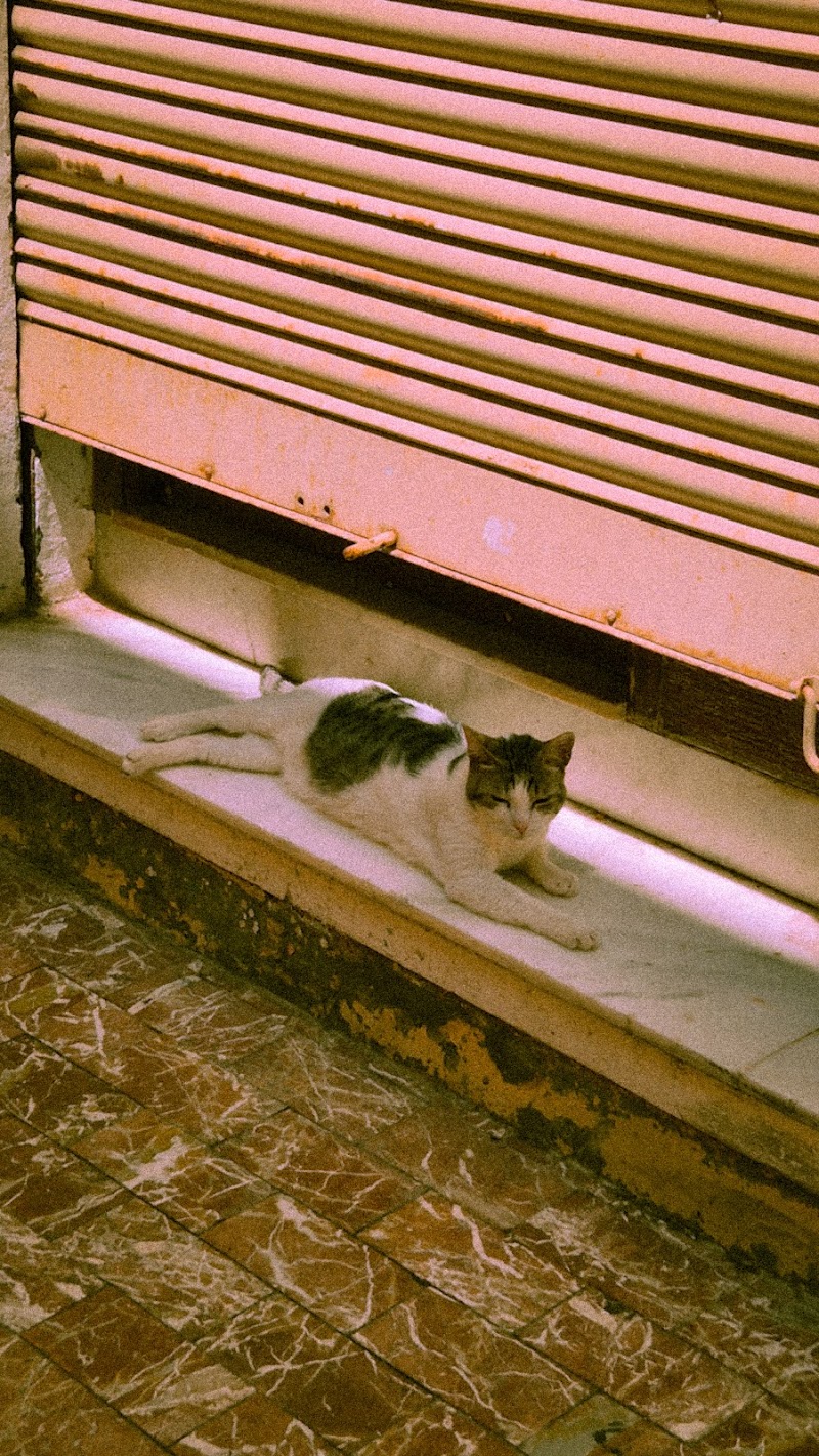 Imagen representativa de la localización