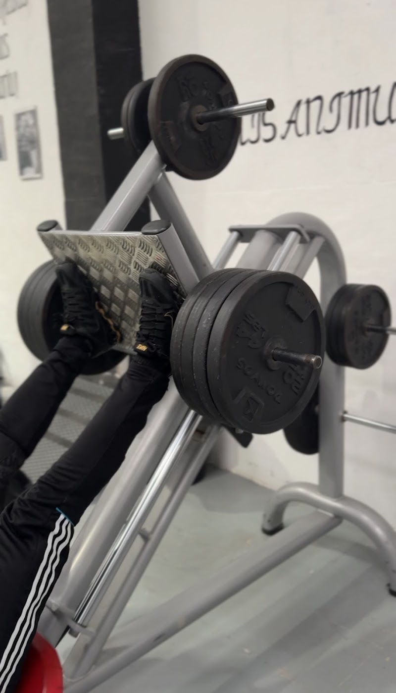 Imagen de negocio en Entrenamiento en Ibi