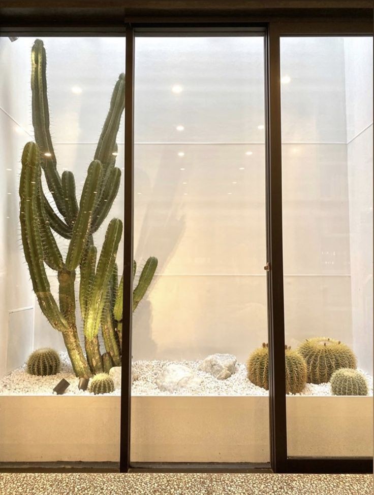 Imagen de Cactus Chic