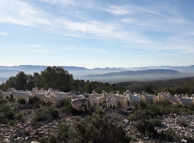 Imagen representativa de la localización