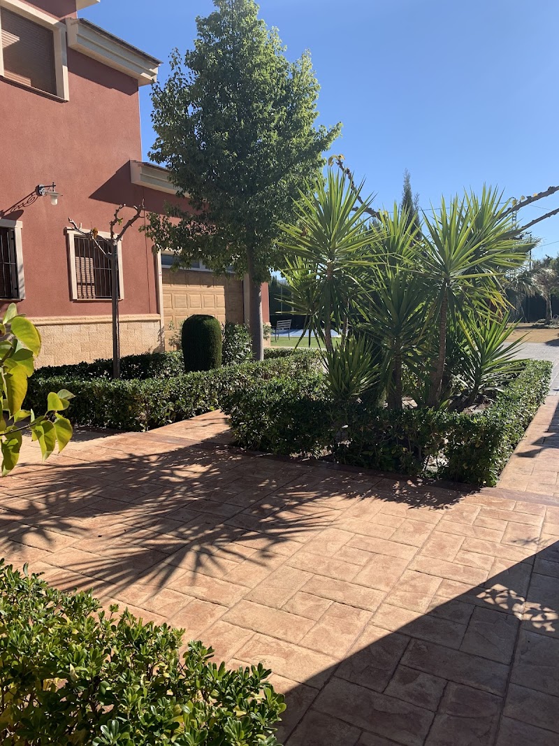 Imagen de Caval – Poda en Altura. Jardinería