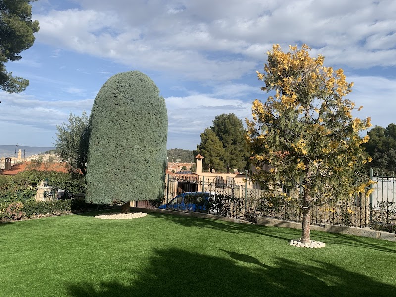 Imagen de Caval – Poda en Altura. Jardinería