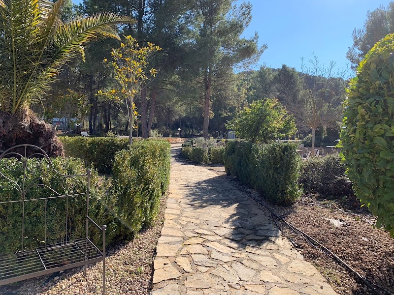 Imagen de Caval – Poda en Altura. Jardinería