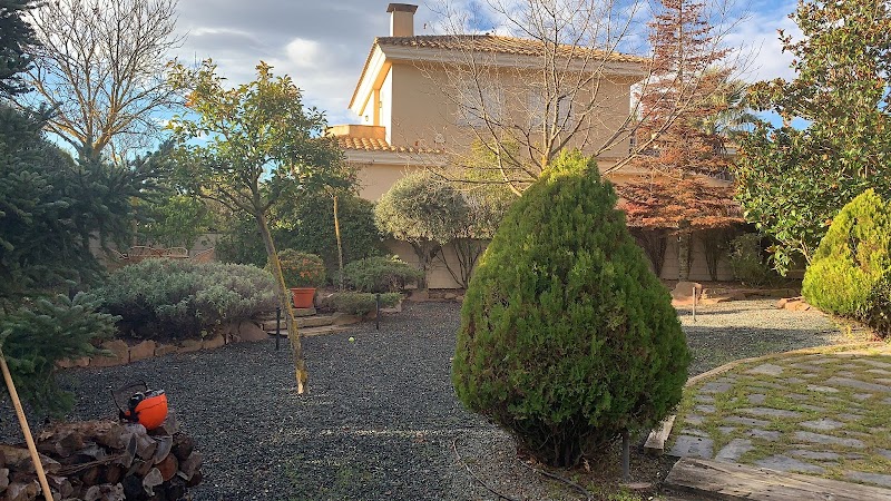 Imagen de Caval – Poda en Altura. Jardinería