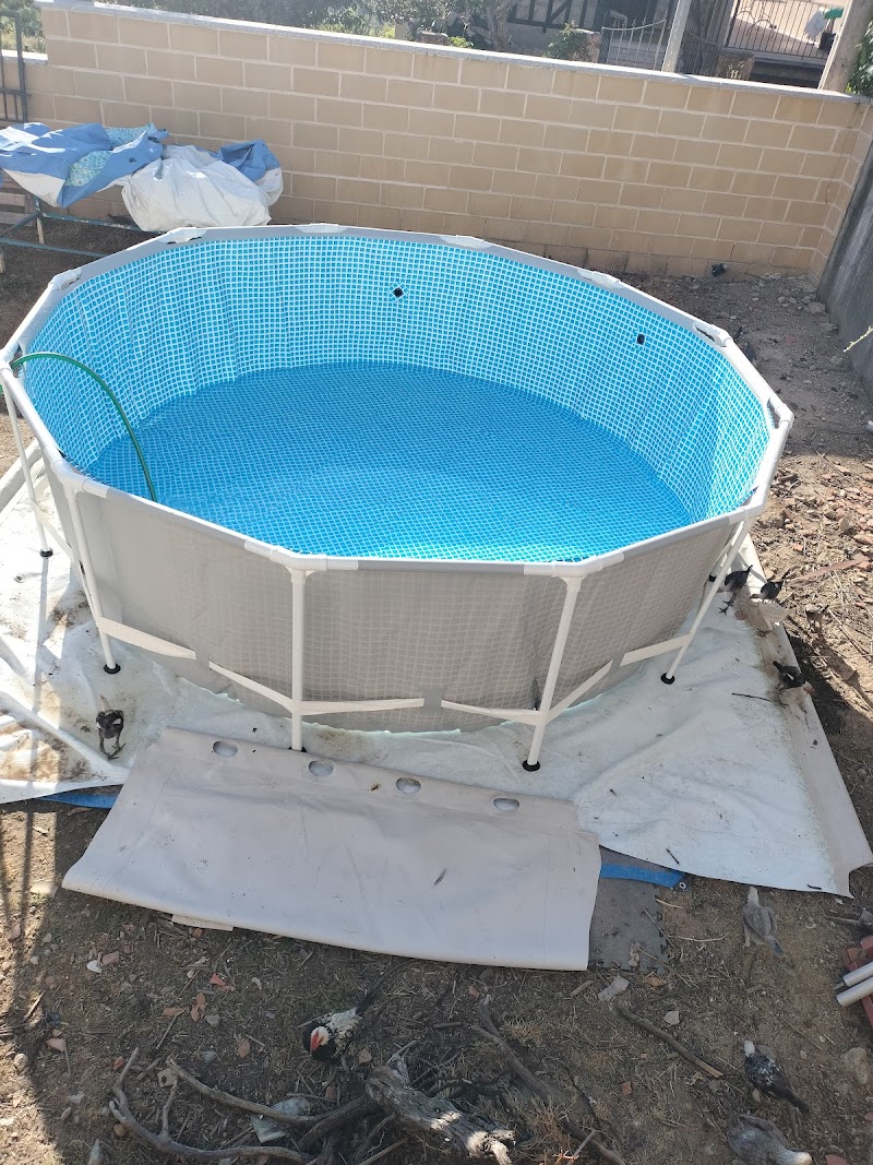 Imagen de Intex Iberia