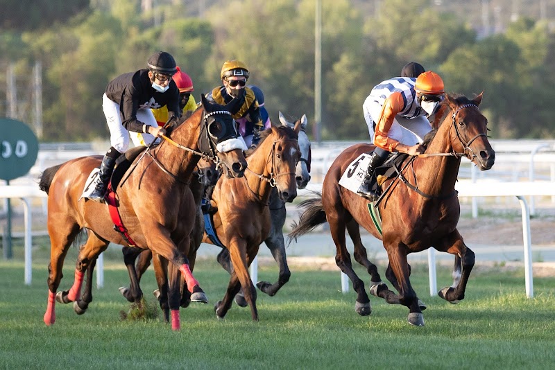 Imagen de Beatrizdubal.com