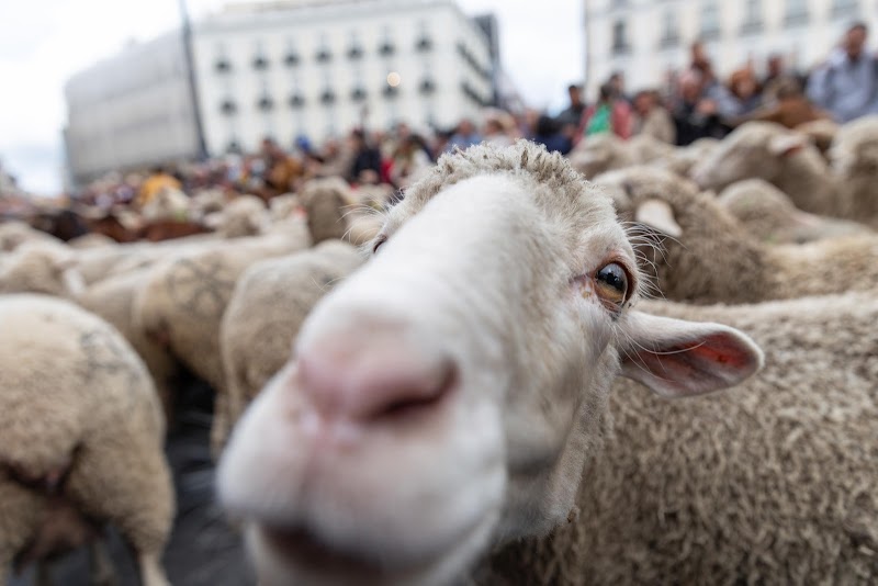 Imagen de Beatrizdubal.com