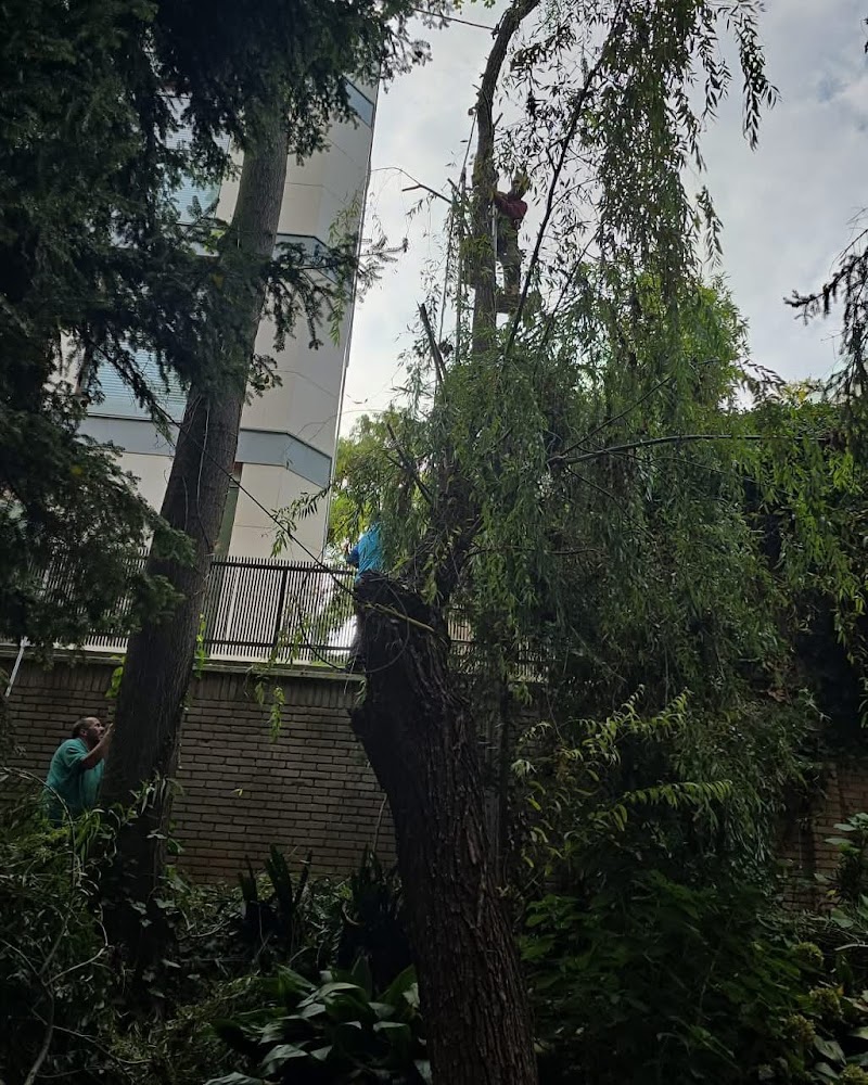 Imagen de Vita Verde Jardinería