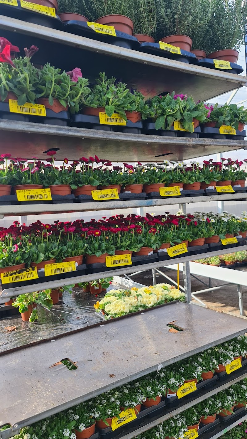 Imagen de Jardineria Rolando