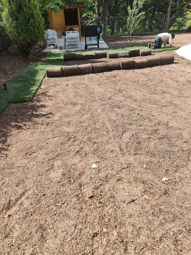 Imagen de Jardineria Rolando