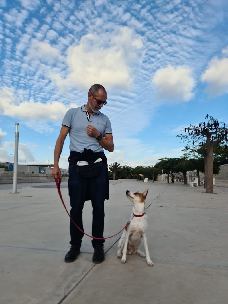 Imagen de Educador Canino Zeben Ojeda