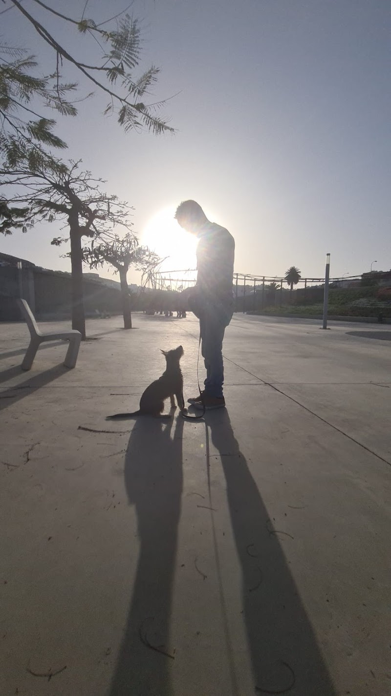 Imagen de Educador Canino Zeben Ojeda