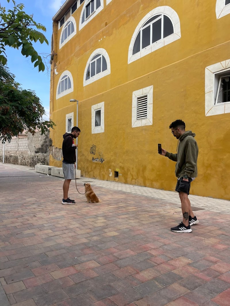 Imagen de Educador Canino Zeben Ojeda