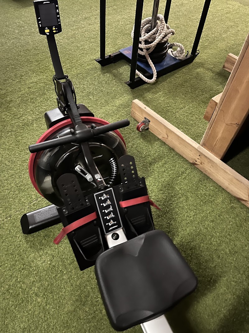 Imagen de Ldm Salud y Rendimiento