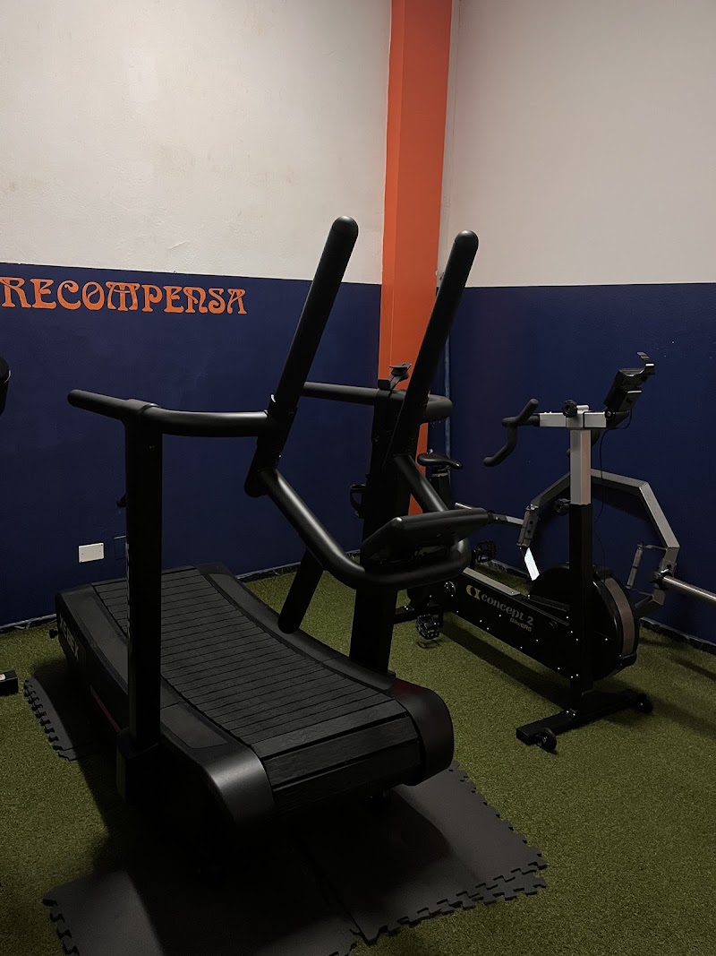 Imagen de Ldm Salud y Rendimiento